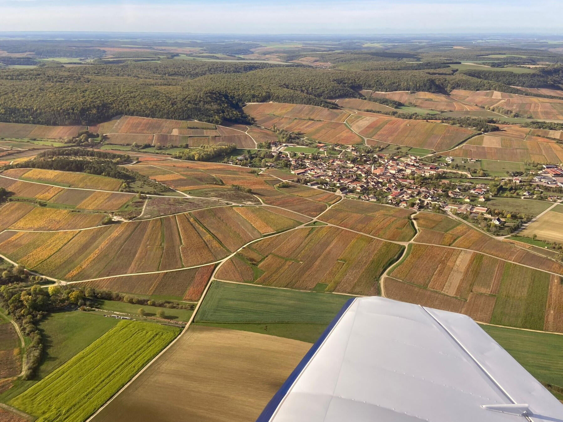 Vignoble de la Champagne sud