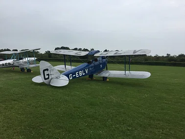 Old Warden and lets view rare Birds of prey or classic planes
