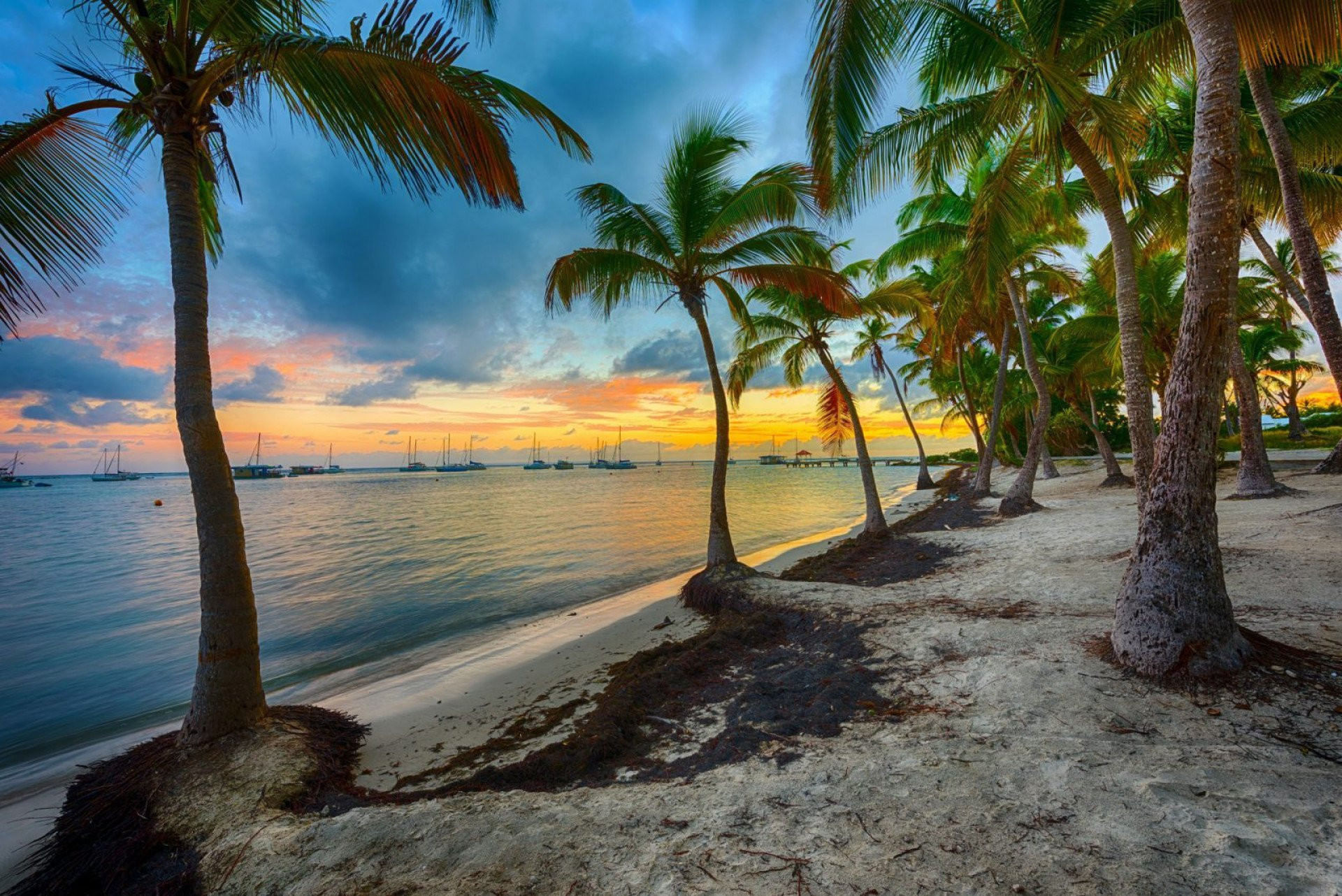 🌼🌹 Aller-Retour en Guadeloupe 🎉