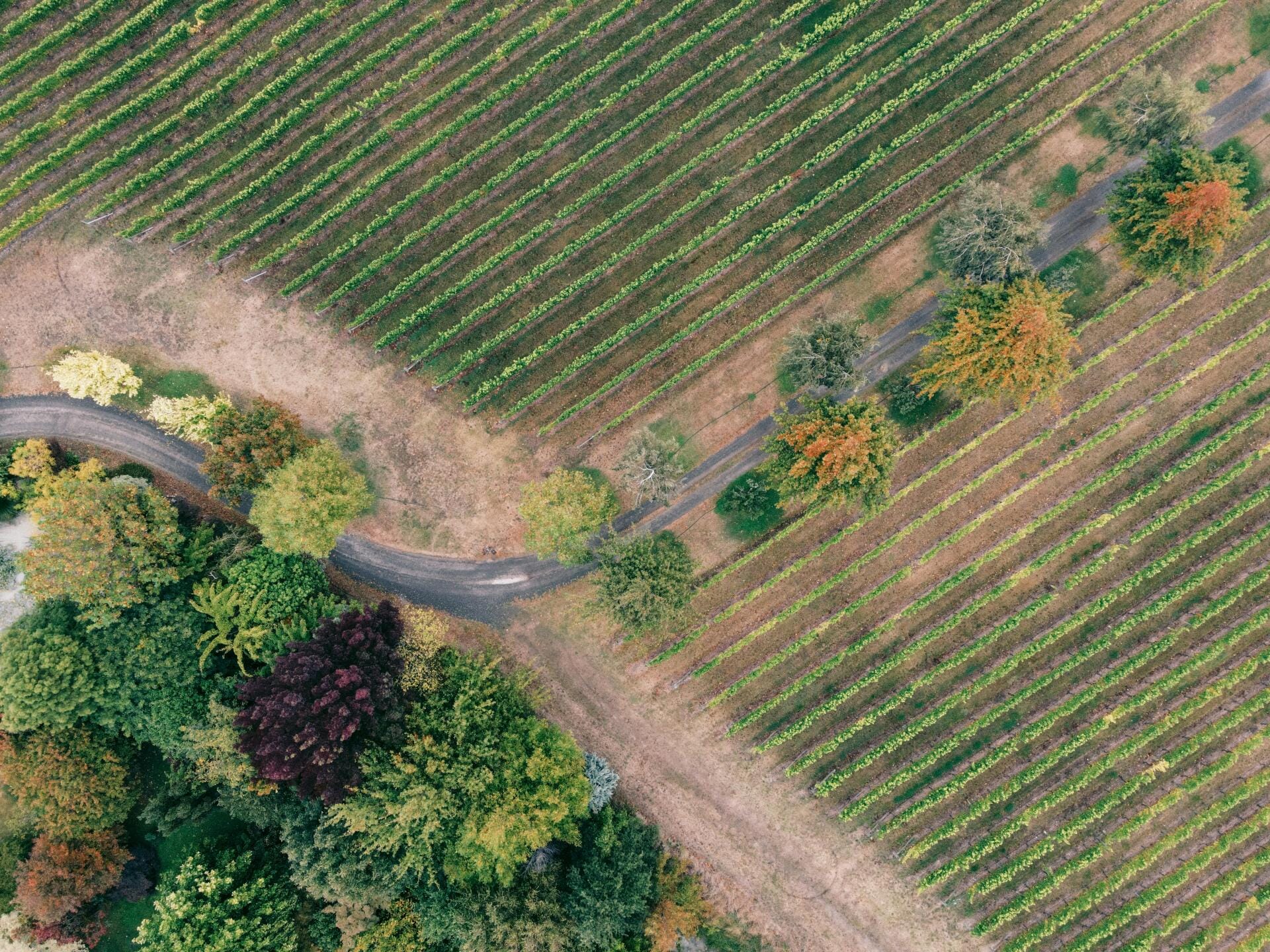 Circuit des Grands Crus Classés du Médoc