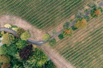 Circuit des Grands Crus Classés du Médoc