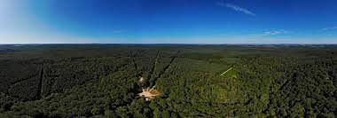 La forêt de Tronçais et ses châteaux du Berry