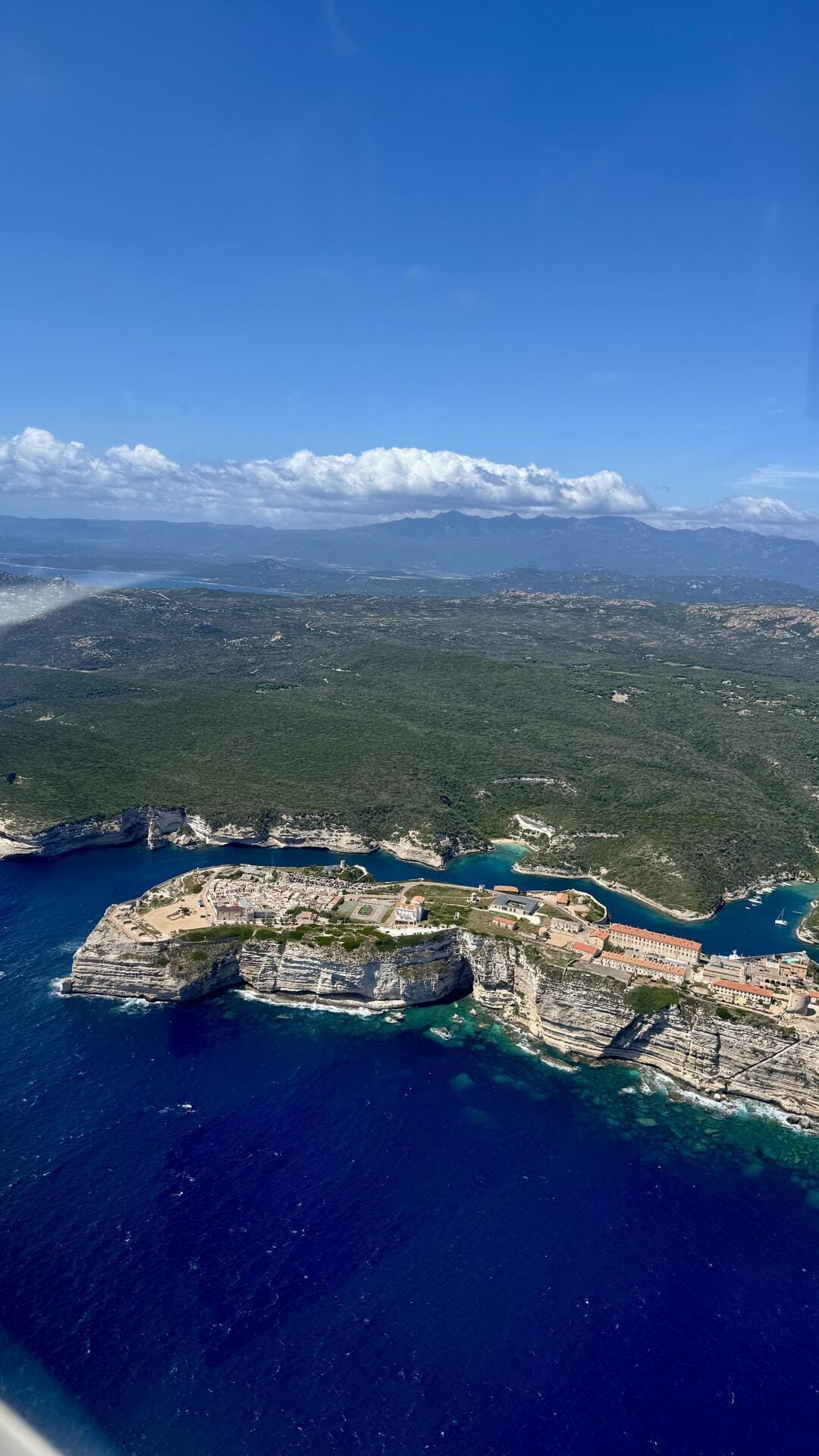 Bonifacio