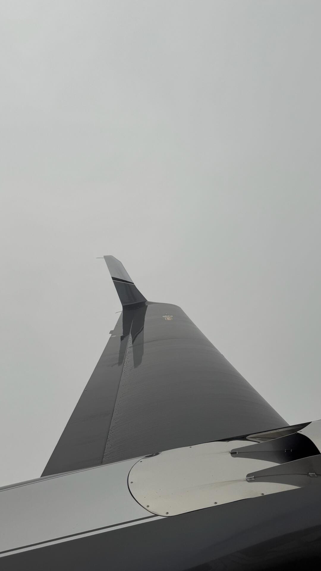 Diamond DA-42 mit Anti-Eis-System eingeschaltet