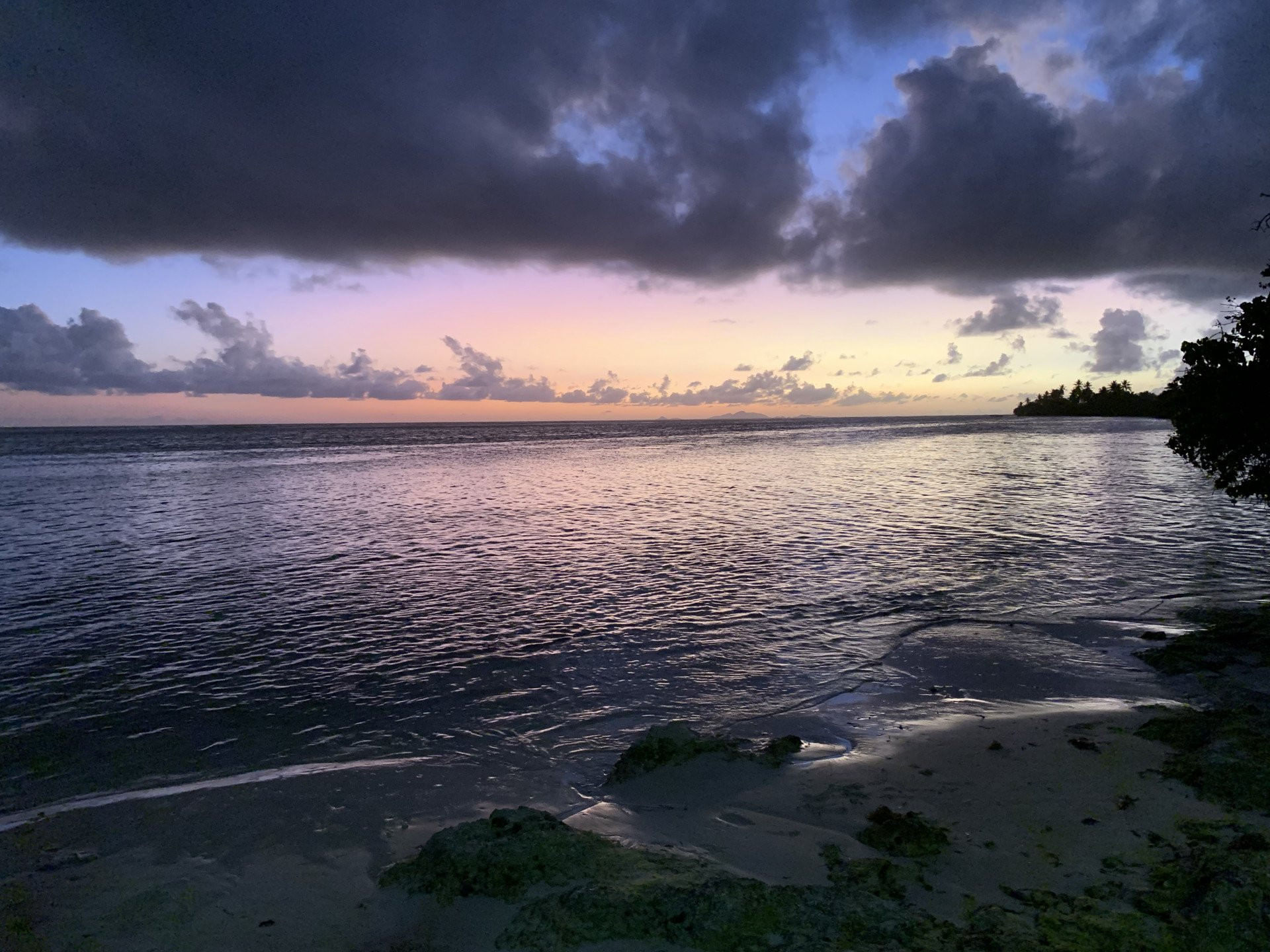 Envie de faire une escapade d’une journée à Marie-Galante