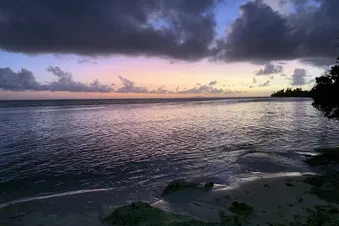 Envie de faire une escapade d’une journée à Marie-Galante