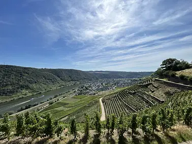 🏰 Burgenflug nach Koblenz – Rheinromantik und Loreley