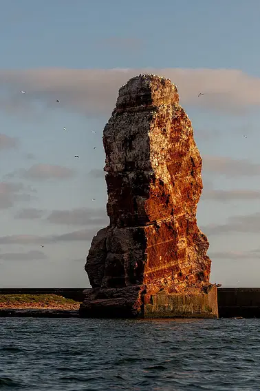 Tagesausflug nach Helgoland!