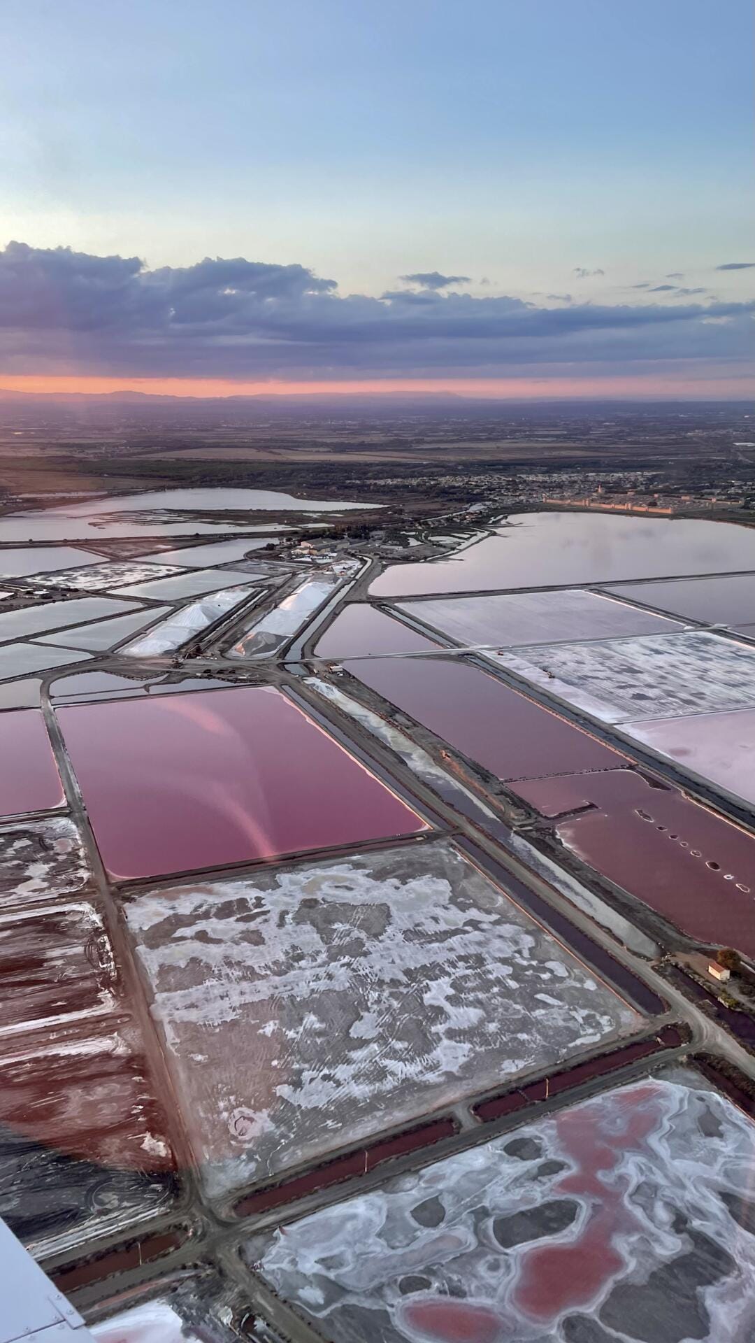Entre salins roses, Espiguette et Camargue sauvage