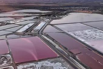 Entre salins roses, Espiguette et Camargue sauvage