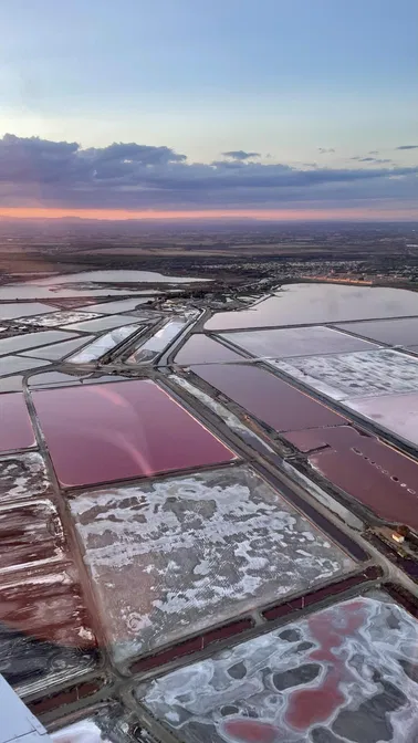 Entre salins roses, Espiguette et Camargue sauvage