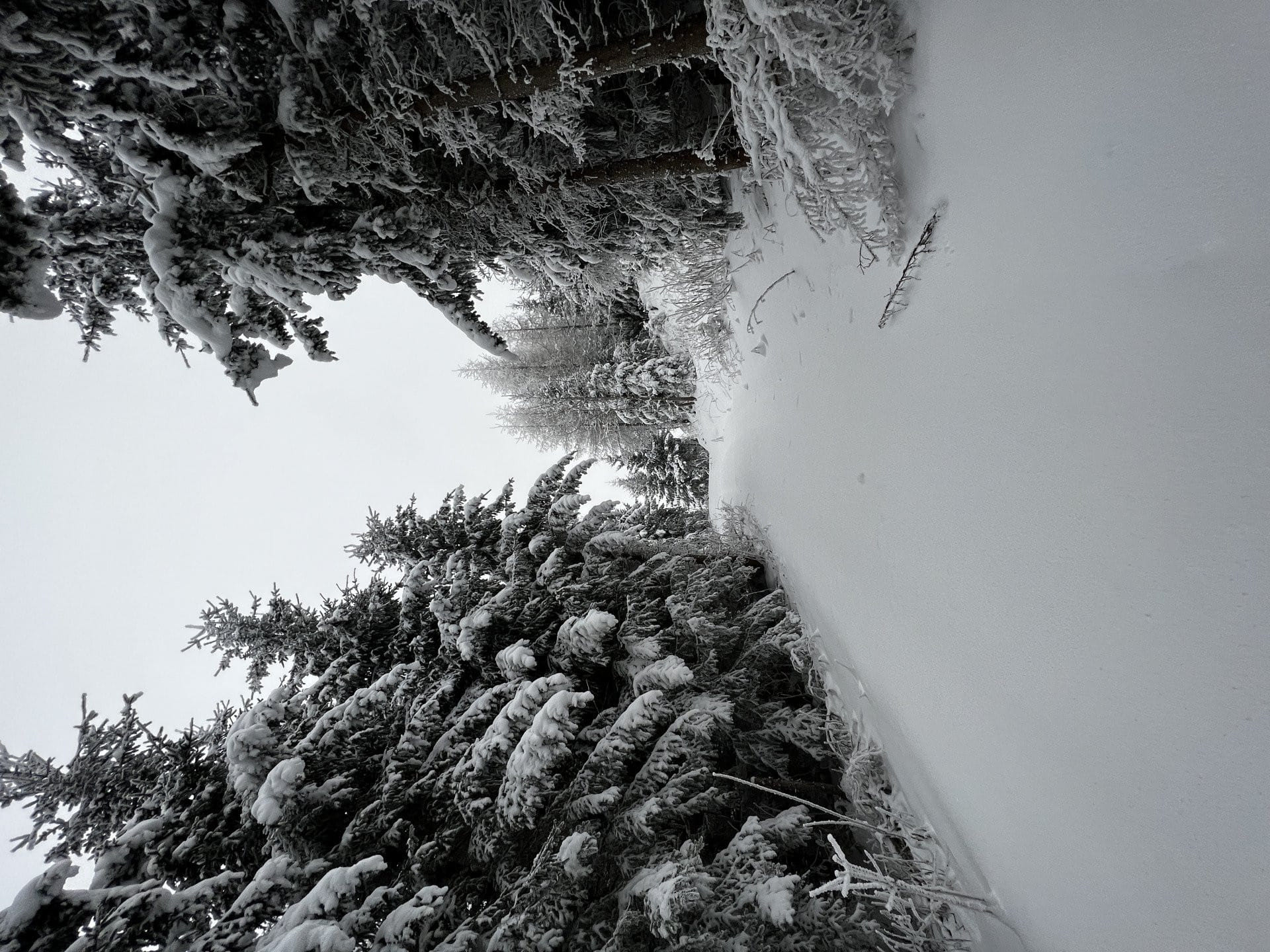 Ab in die Alpen. Dornbirn am Bodensee wartet auf euch.