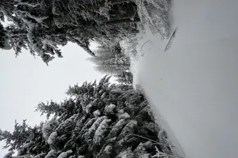 Ab in die Alpen. Dornbirn am Bodensee wartet auf euch.