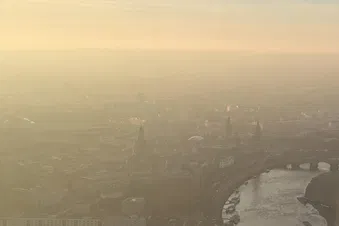 Elflorenz in sepia naturale