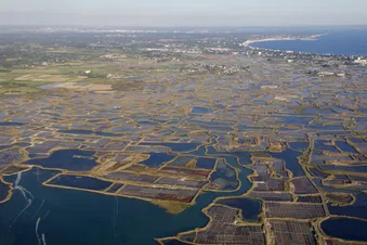 Balade aérienne : côte Loire-Atlantique & île de Noirmoutier