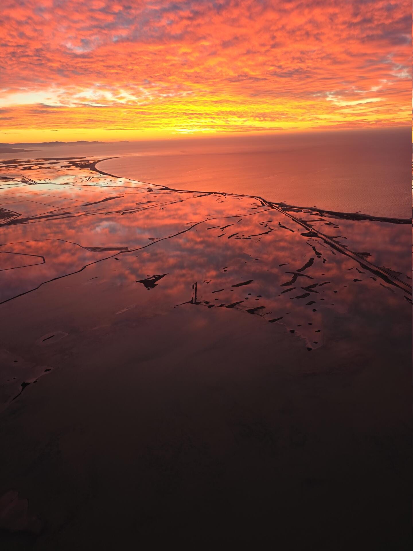 À l'Aube du Soleil : Vols Magiques en Camargue et sur la Mer