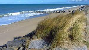 Vol d'excursion : pique-nique sur la plage de Granville