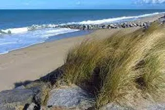 Vol d'excursion : pique-nique sur la plage de Granville