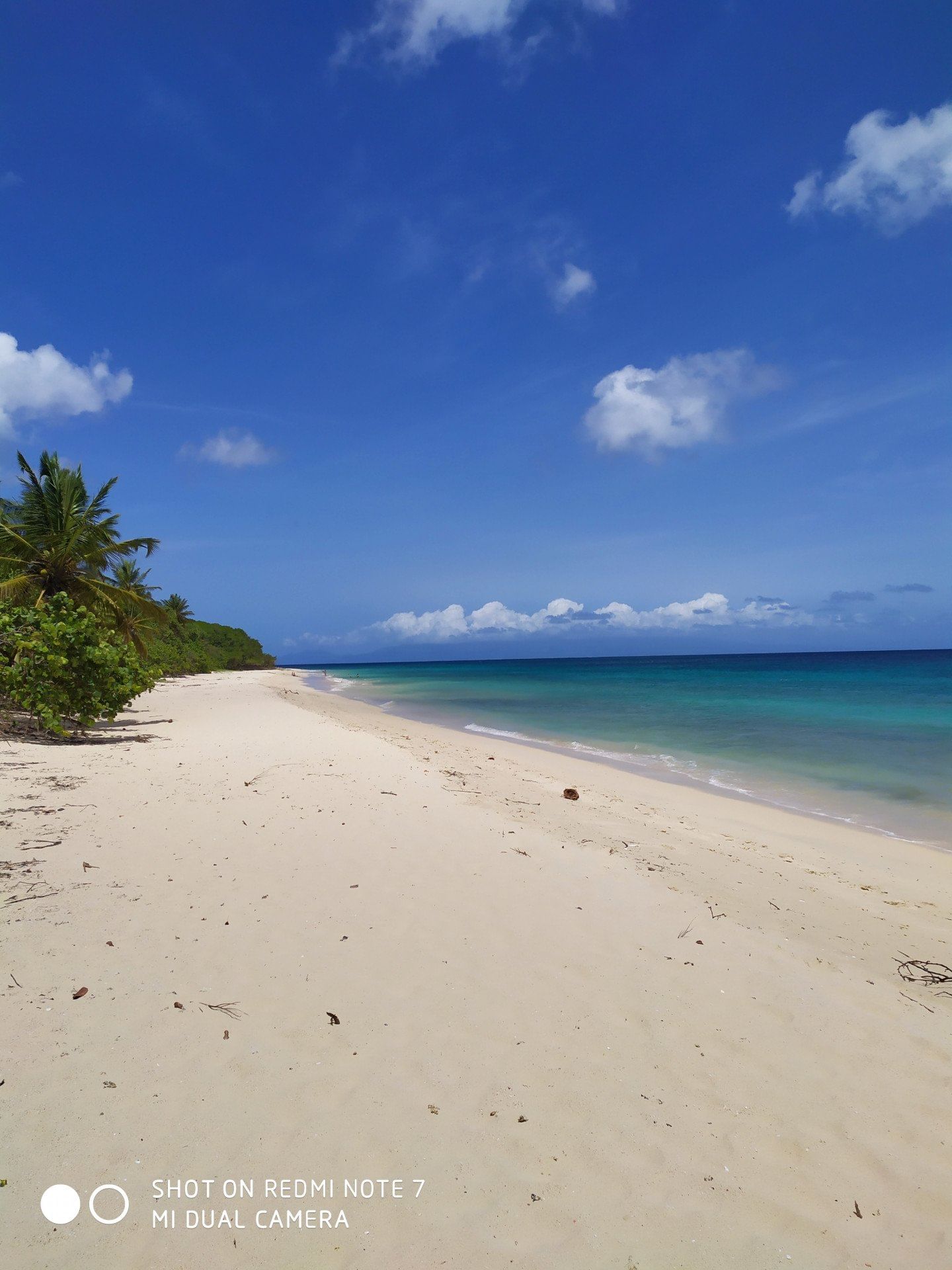 Journée/ Weekend à Marie Galante
