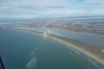 La Camargue à l'état sauvage