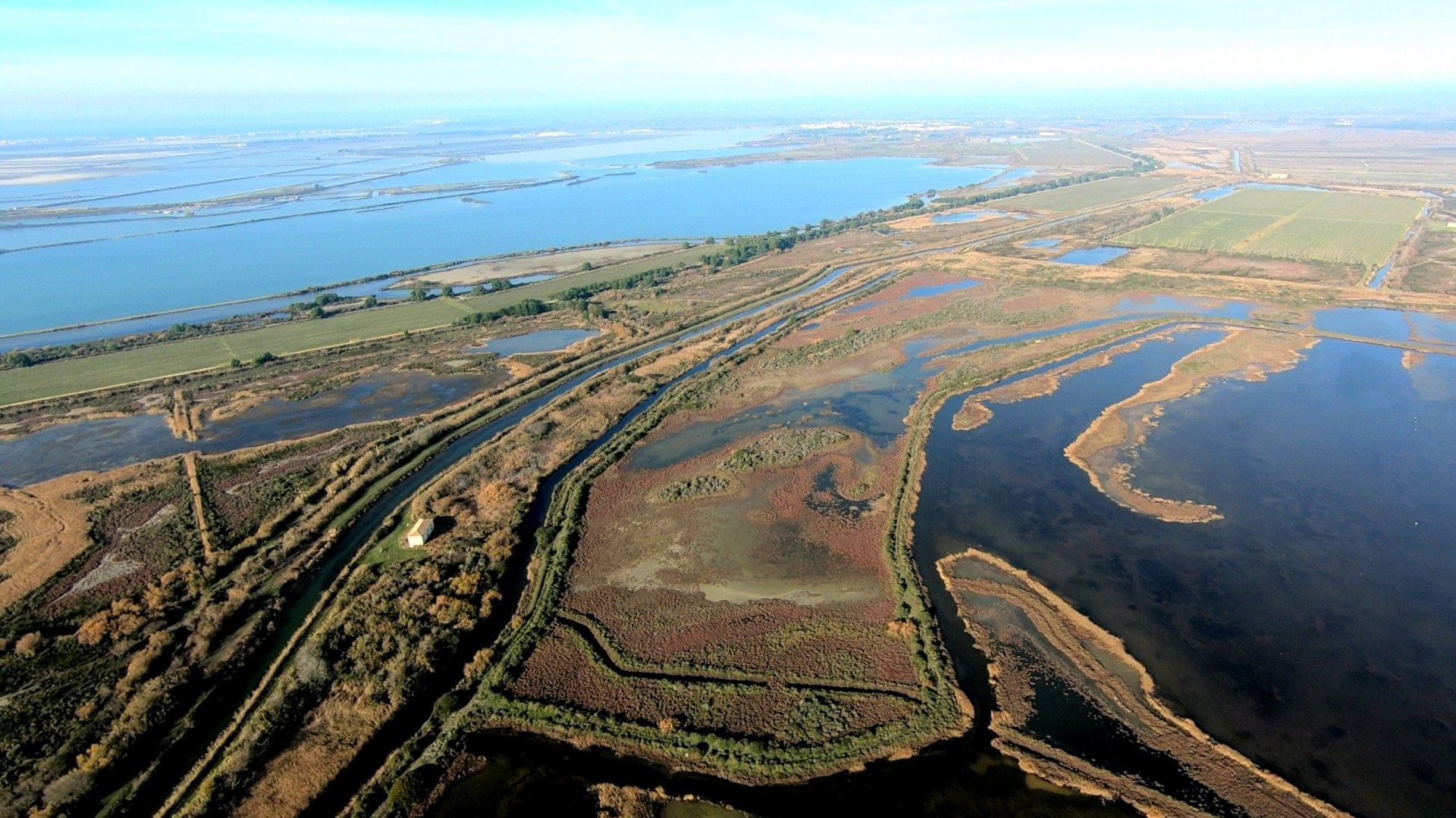 Découverte aérienne de la Camargue à bord d'un avion privé