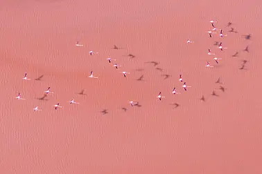 Survol Grande Motte, Littoral Camargue en hélico