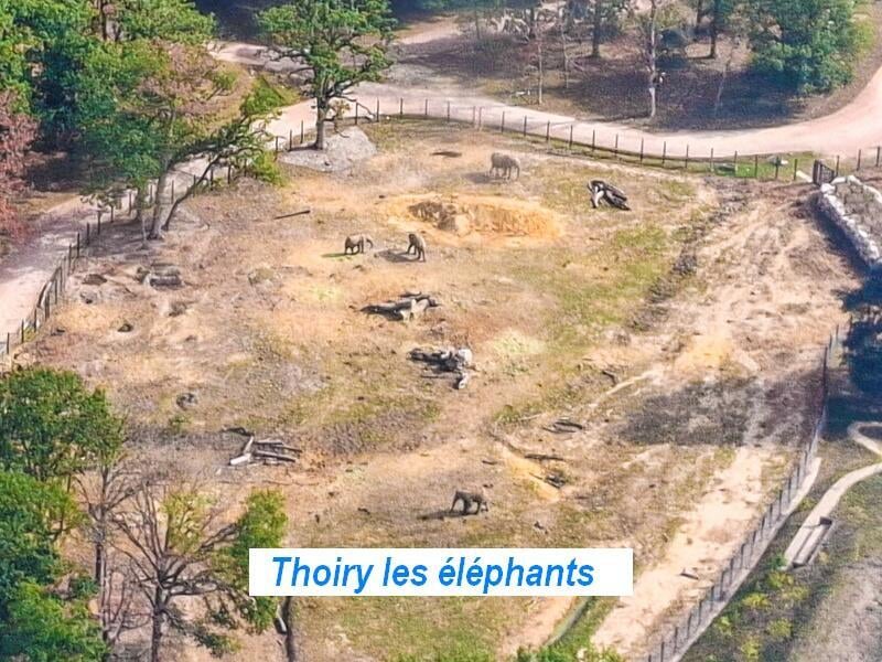 Thoiry les éléphants