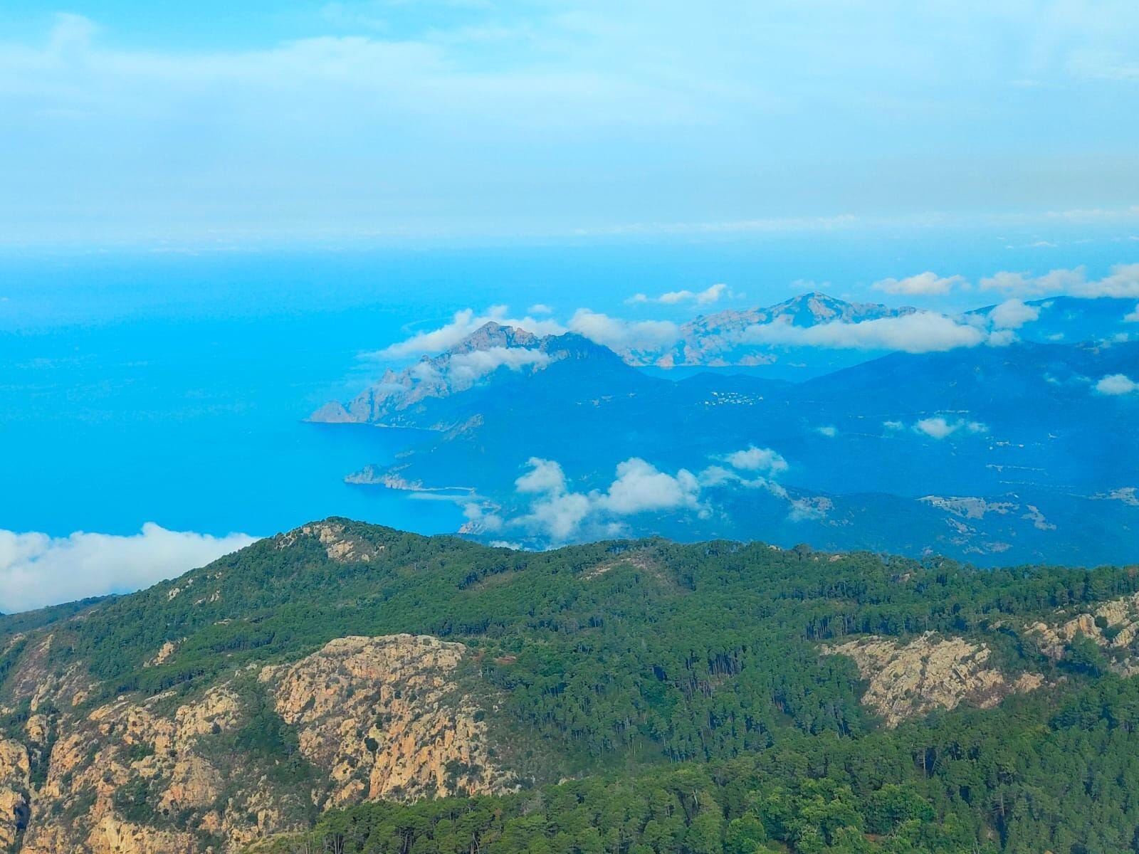 Excursion et déjeuner à Calvi