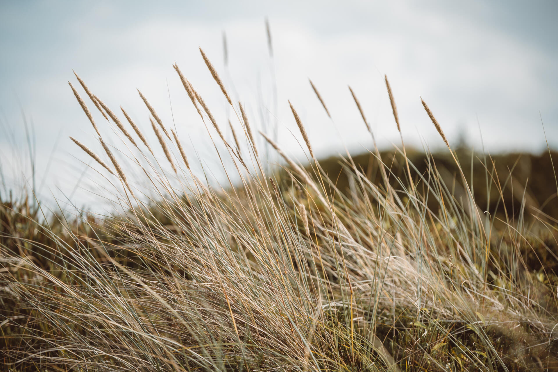 Tagesausflug/ Exklusiver Privatflug nach Sylt