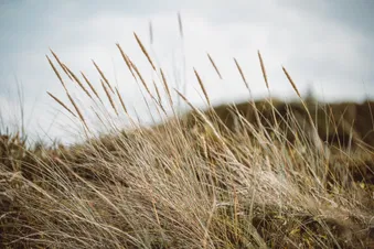 Tagesausflug/ Exklusiver Privatflug nach Sylt