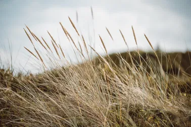 Tagesausflug/ Exklusiver Privatflug nach Sylt