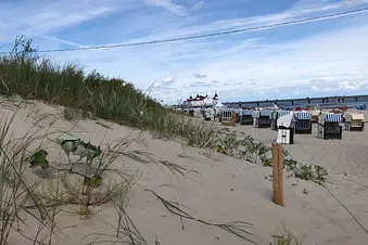 Auf zum Darss - ab an den Strand