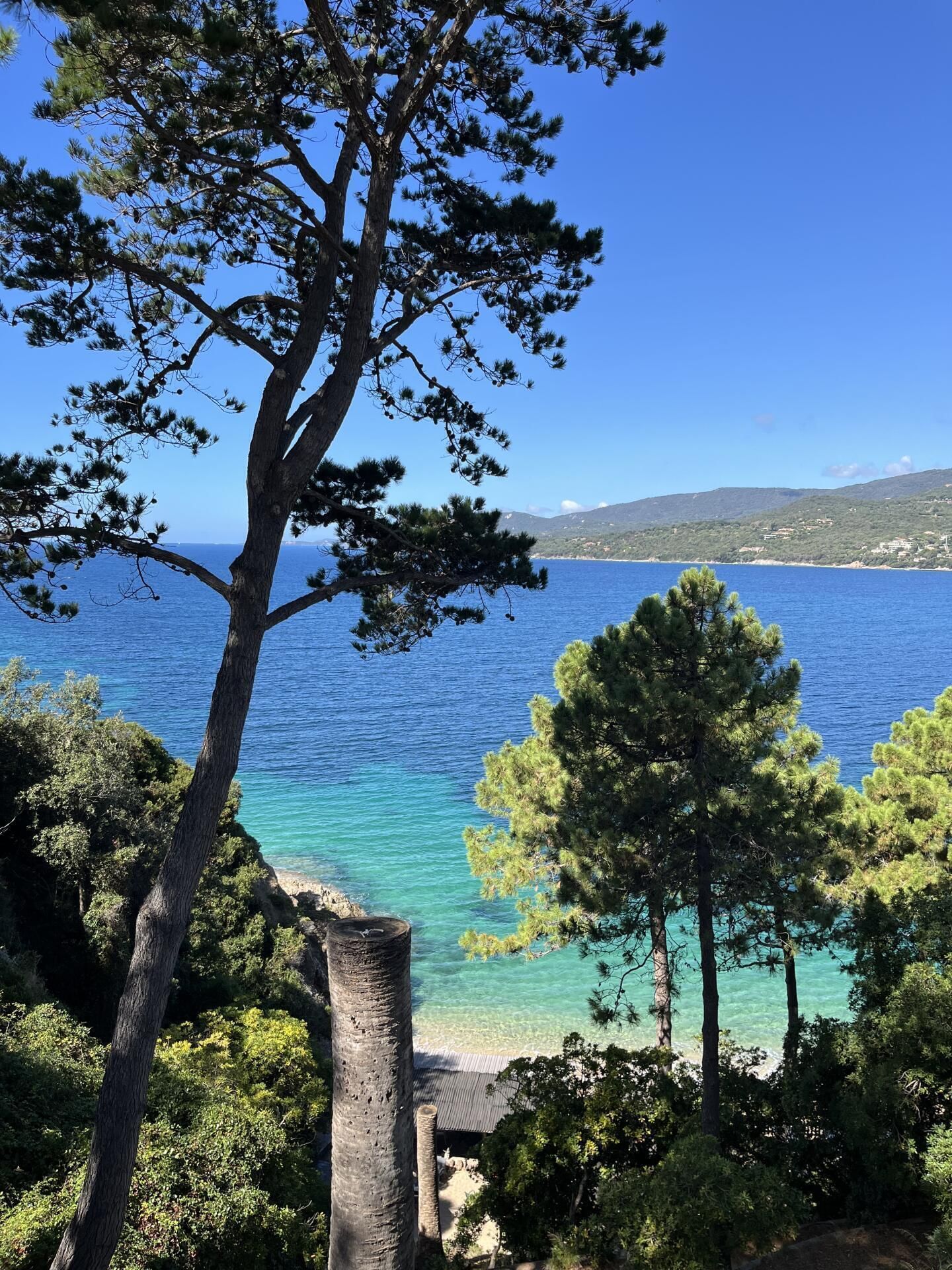 Journée en Corse 🐟🐚🌊🌅