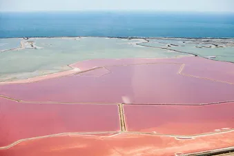 Découverte des Salins du Midi | 3 passagers