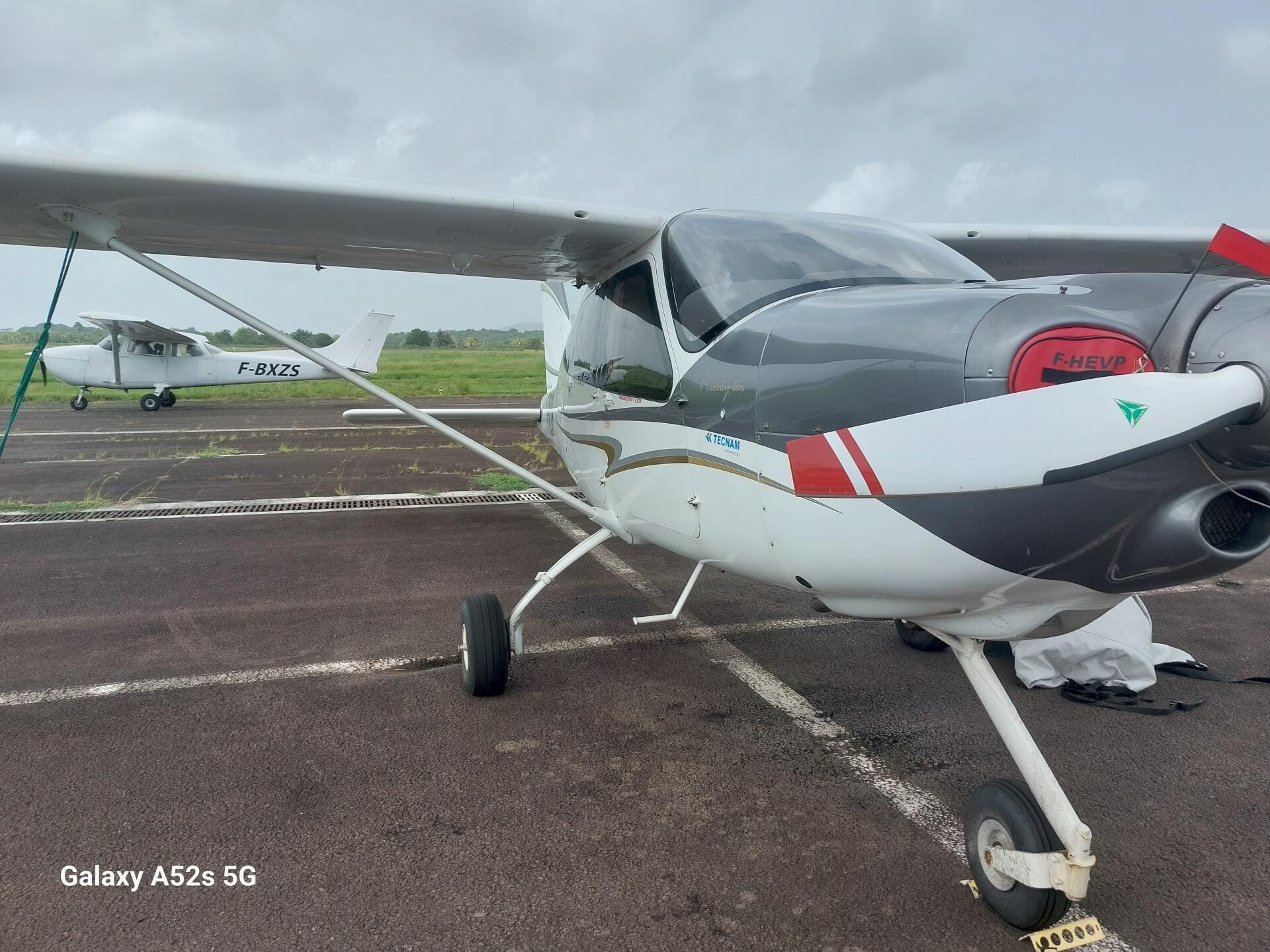 Tecnam P2010