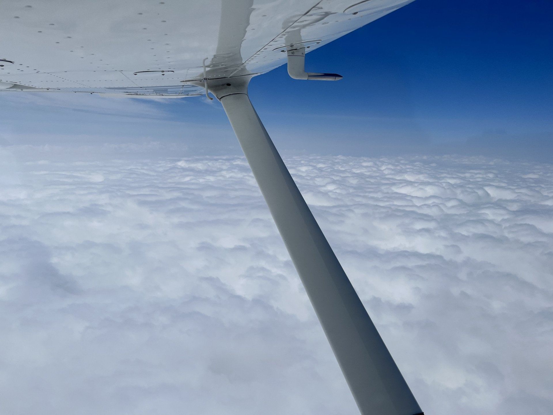 Ich fliege, wohin Sie wollen!