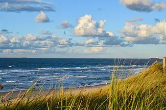 Tagesausflug an die Nordsee, Husum - Wyk - hin und zurück