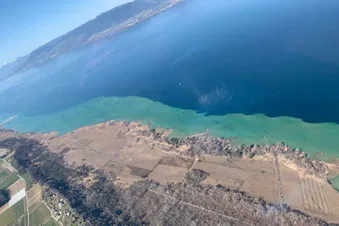 De la Gruyère aux 3-Lacs (Grande Cariçaie et Ile St-Pierre)