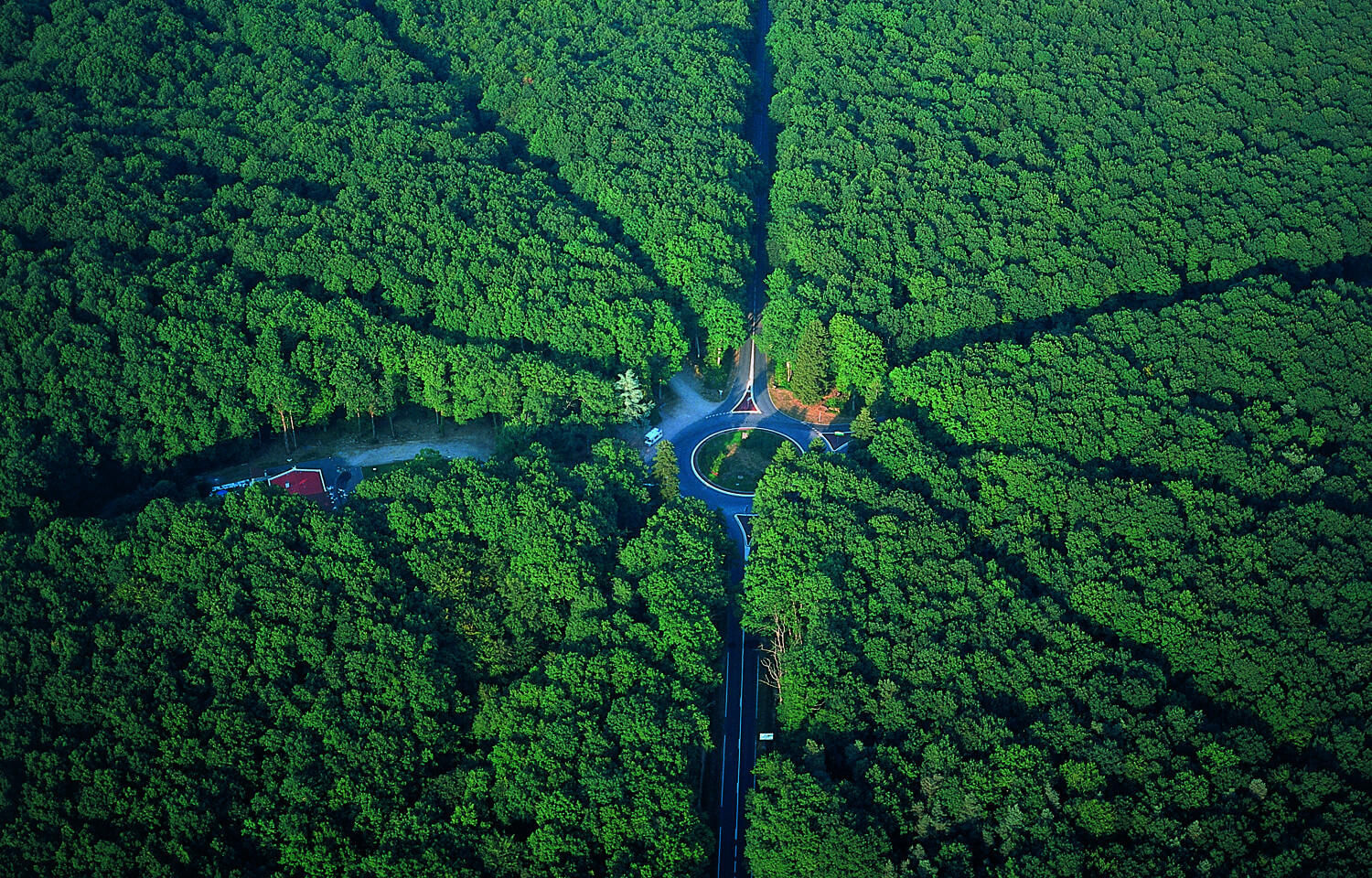Berry - Bourbonnais - Tour de la forêt de Tronçais en avion
