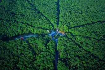 Berry - Bourbonnais - Tour de la forêt de Tronçais en avion
