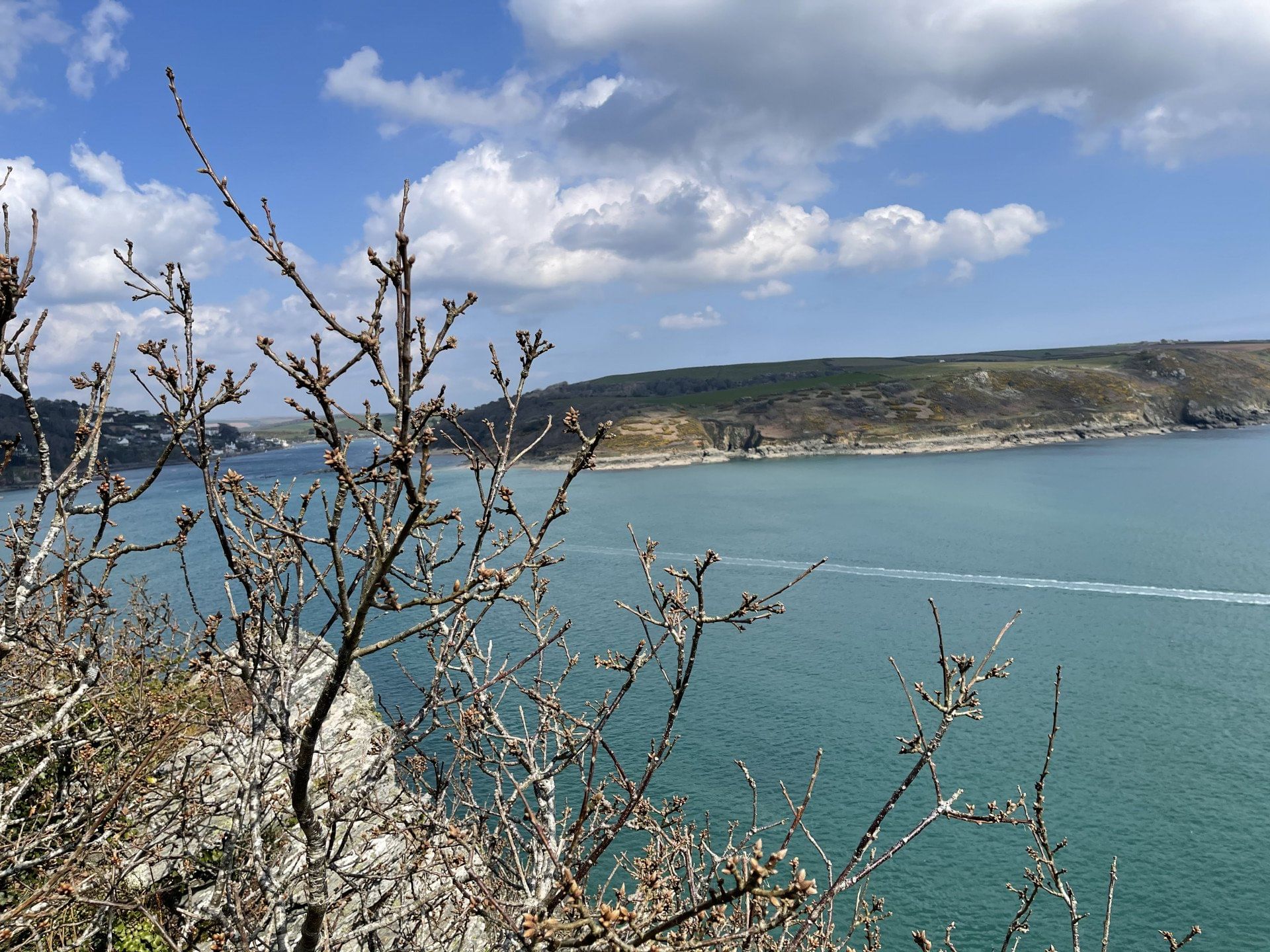 Amazing new destination right on the Devon Coast