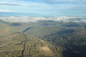 Rundflug Schwarzwald