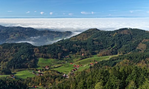 Schwarzwald