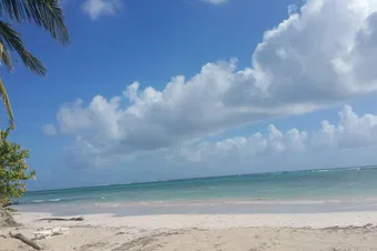 Petit vol découverte de la Martinique