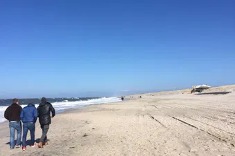 Frankfurt Texel direkt und abends zurück oder bleiben