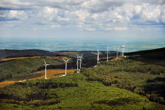Balade découverte du vol dans la région Toulousaine