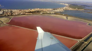 Découverte des Salins du Midi | 3 passagers