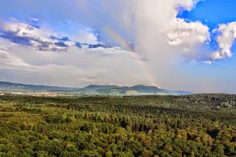 Rundflug auf Deiner Wunschroute (45 min)