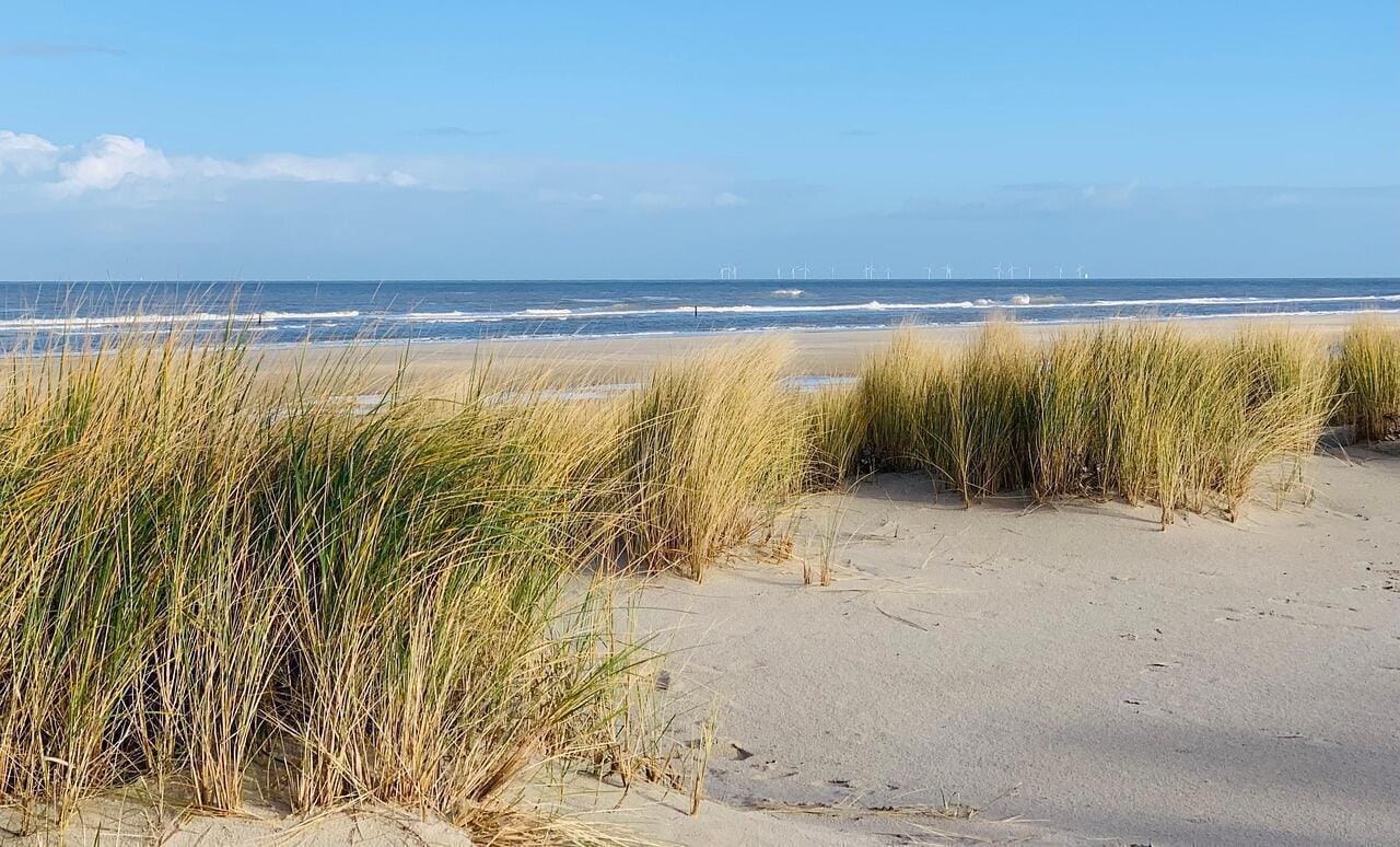 Bis zu 3P: Ausflug nach Wangerooge