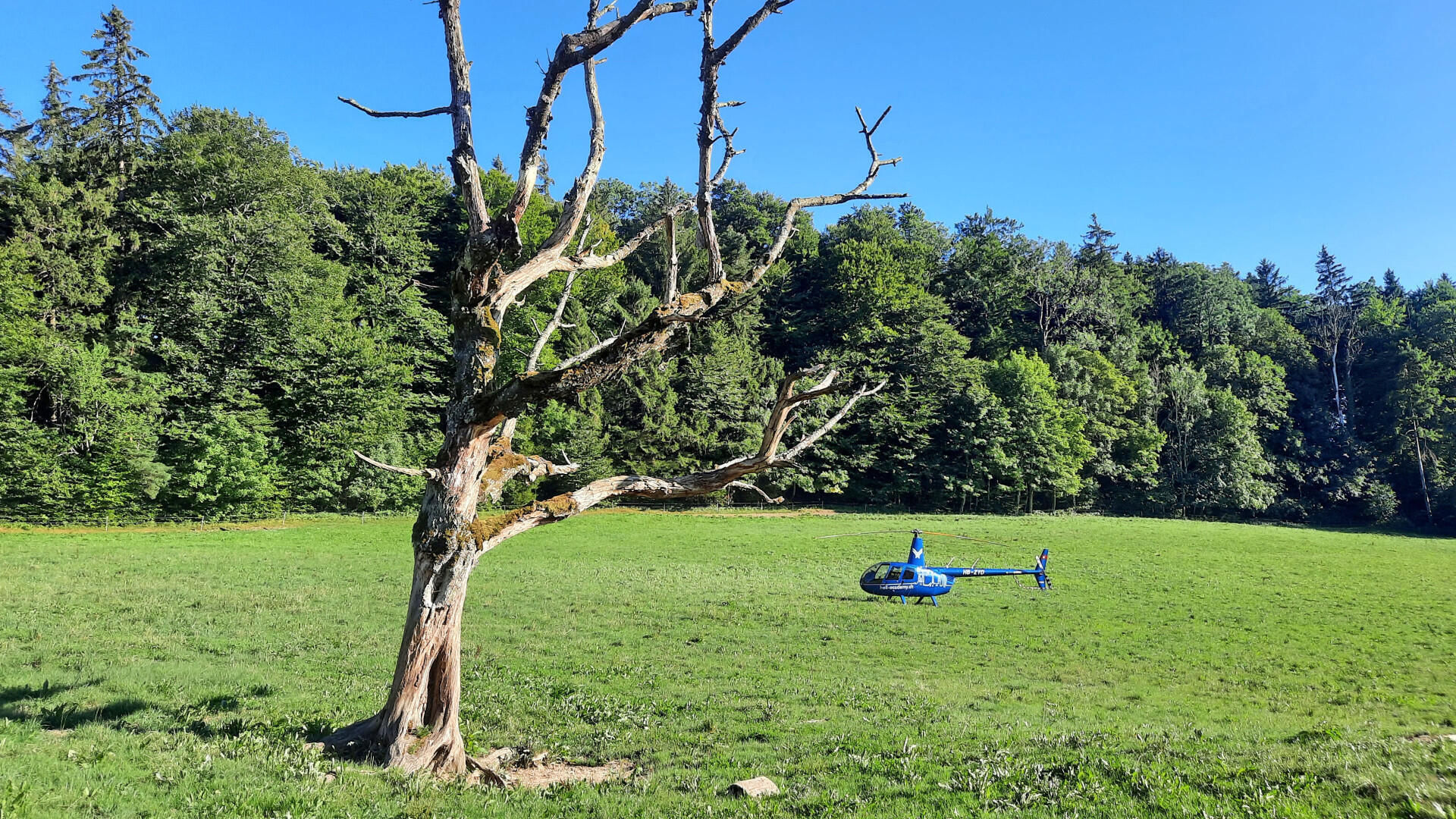 Individueller Rundflug Rigi